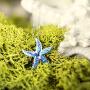 Honolulu Jewelry Company Sterling Silver Starfish Necklace Pendant with Simulated Blue Opal and 18'' Box Chain
