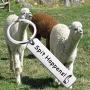 BEKECH Spit Happens Alpaca Keychain Funny Llama Jewelry Alpaca Themed Stainless Steel Keychain Cute Llama Gifts Mama Llama Gift for Alpaca Lovers Animal Jewelry Gift for Friends