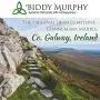 Biddy Murphy Celtic Cross Necklace for Women Sterling Silver and Connemara Marble Made in Ireland