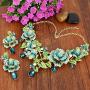 EVER FAITH Austrian Crystal Elegant Rose Flower Leaf Teardrop Neckalce Earrings Set