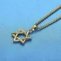 LineAve Stainless Steel Jewish Star of David Pendant Necklace, Unisex, 8h0047