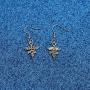 WUSUANED Physician Assistant PA Drop Dangle Earrings Medical Jewelry PA Graduation Gift For Doctor Nurse Medical Student